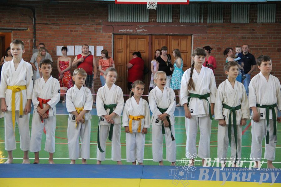Турнир по каратэ