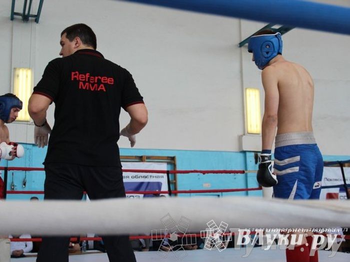 Чемпионат Псковской области по ММА