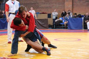 Великолукские самбисты завоевали 45 медалей на открытом первенстве города (ФОТО)