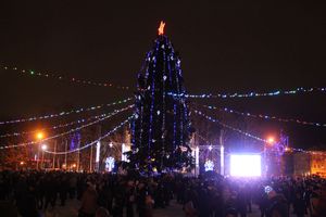В Великих Луках зажглась новогодная ёлка (ФОТО)
