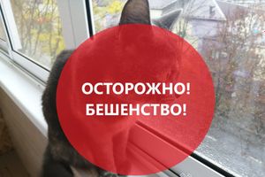 © ВЛуки.ру