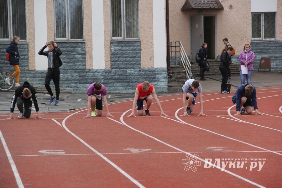 В Великих Луках проходят соревнования «Шиповка юных» (ФОТО)