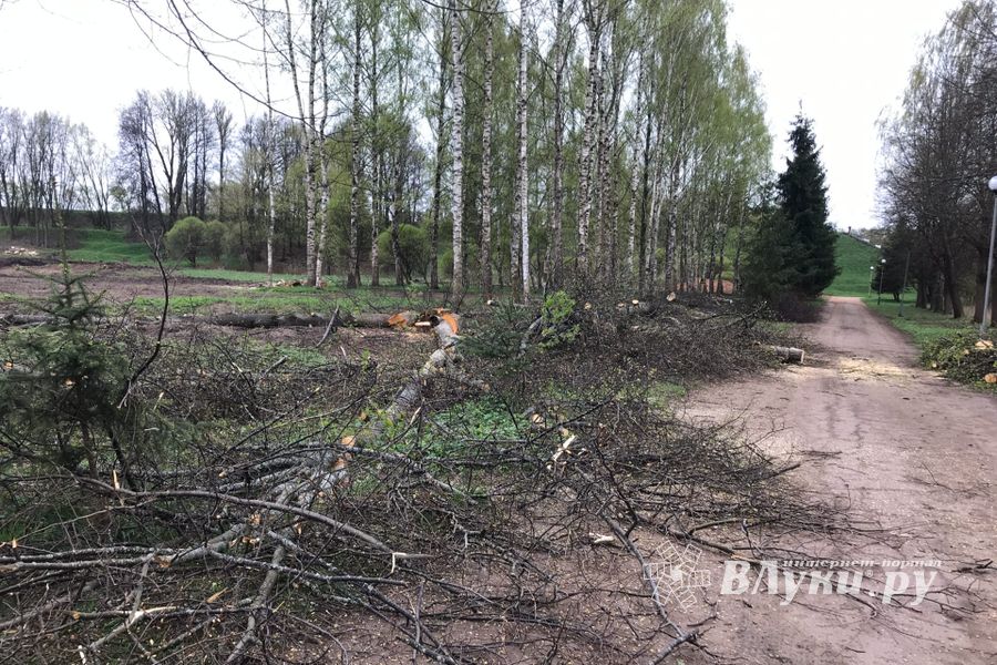 В будущем Петровском парке завершается очередной этап работ (ФОТО)
