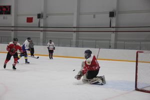 Две победы у великолукских хоккейных команд (ФОТО)