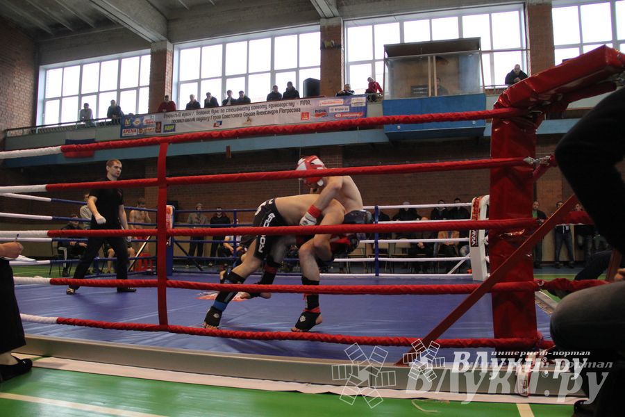В Великих Луках прошел межрегиональный Открытый Кубок по смешанному боевому единоборству (фото)