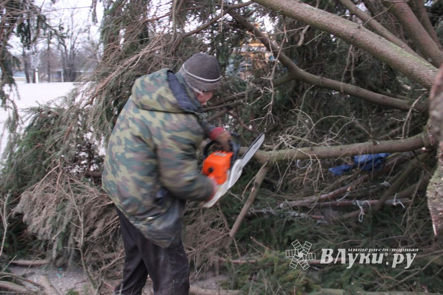 Необычное украшение сняли с главной ёлки Великих Лук (ФОТО)