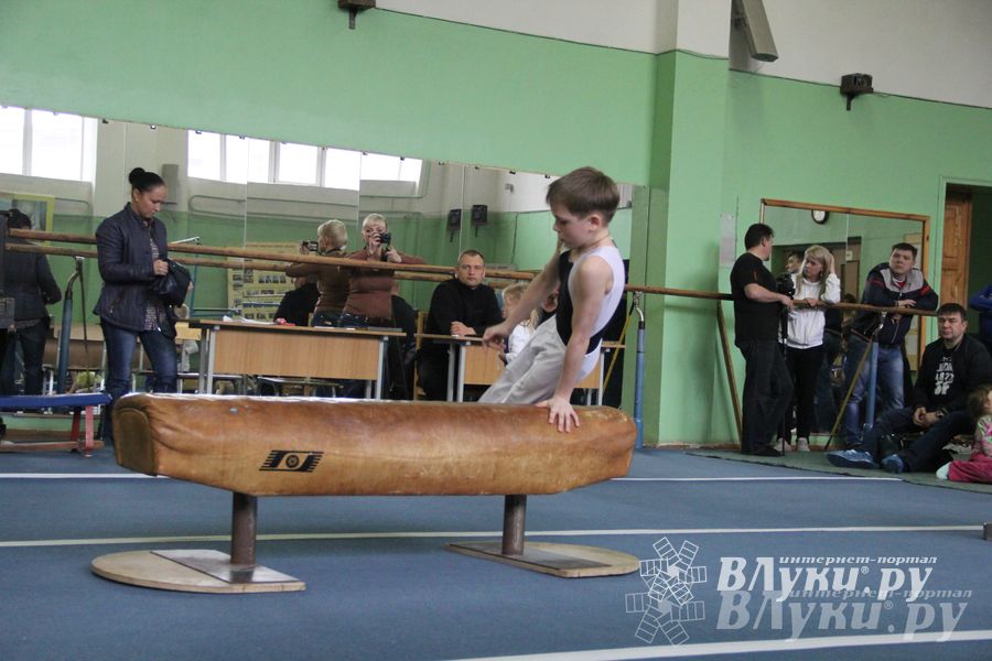 В Великих Луках прошел турнир по спортивной гимнастике (фото)