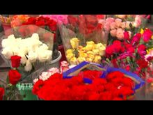 Импульс-ТВ: Цветы с незваными гостями