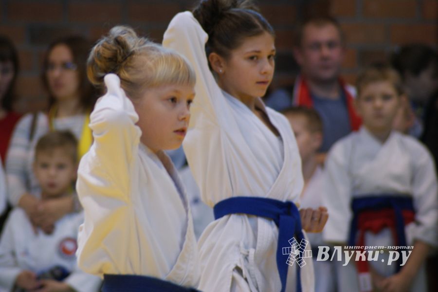 В Великих Луках прошли соревнования по каратэ (ФОТО)