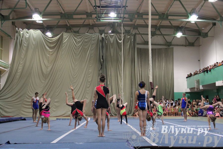 «Парад гимнастики» прошел в Великих Луках (фото)