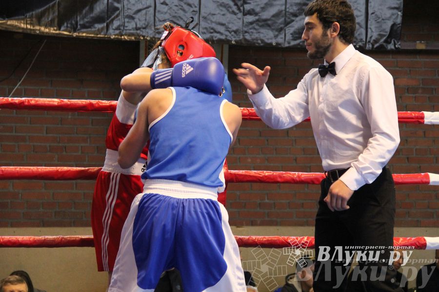 16-й Международный турнир по боксу (фото)