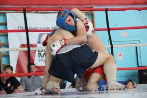 Чемпионат Псковской области по ММА