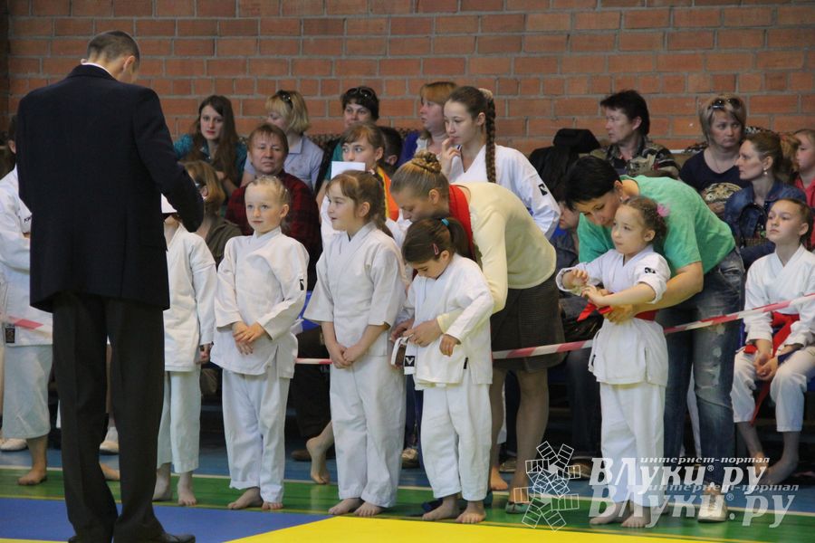 Великолучане стали победителями турнира по каратэ «Неприкосновенный запас, дети — Отчизны 2015» (фото)