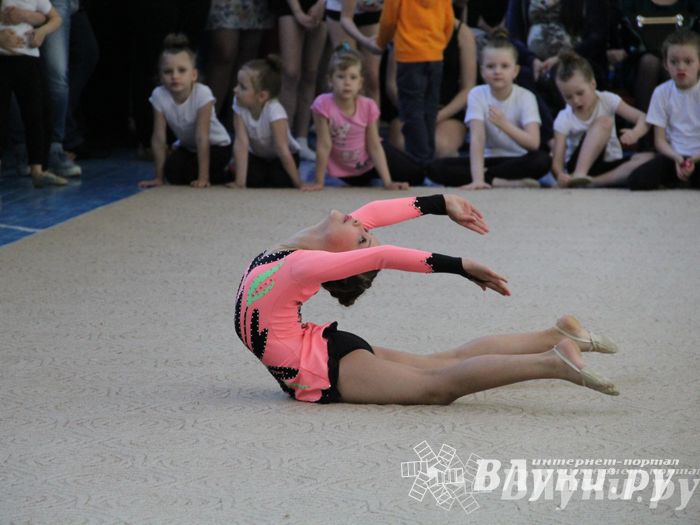 В Великих Луках прошло Первенство по художественной гимнастике (фото)
