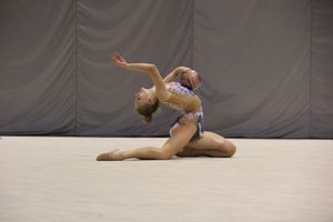 В Великих Луках проходит Кубок Псковской области по художественной гимнастике (ФОТО) (0+)