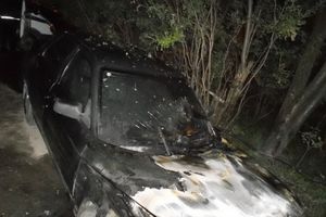 В Псковской области подожгли два автомобиля (ФОТО)