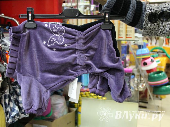 «Zooбастики»: подарите праздник своим любимцам! (ФОТО+ВИДЕО)