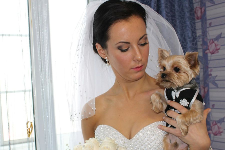 Объявляем победителей фотоконкурса «Косточка к Новому году» (ФОТО)