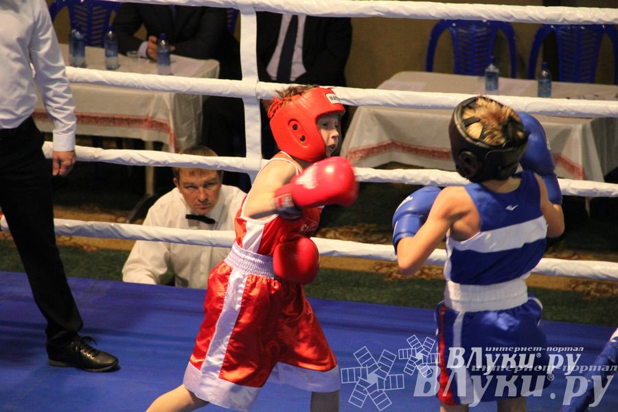 Открытие 16-го  Международного турнира по боксу