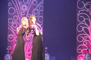 В Великих Луках состоялась презентация творческого объединения мастеров декоративно-прикладного искусства «Калейдоскоп» (фото)