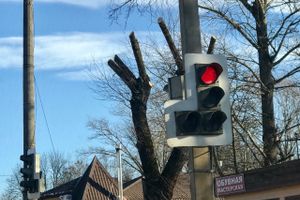 В Великих Луках удаляют угрожающие гражданам ветви (ФОТО)