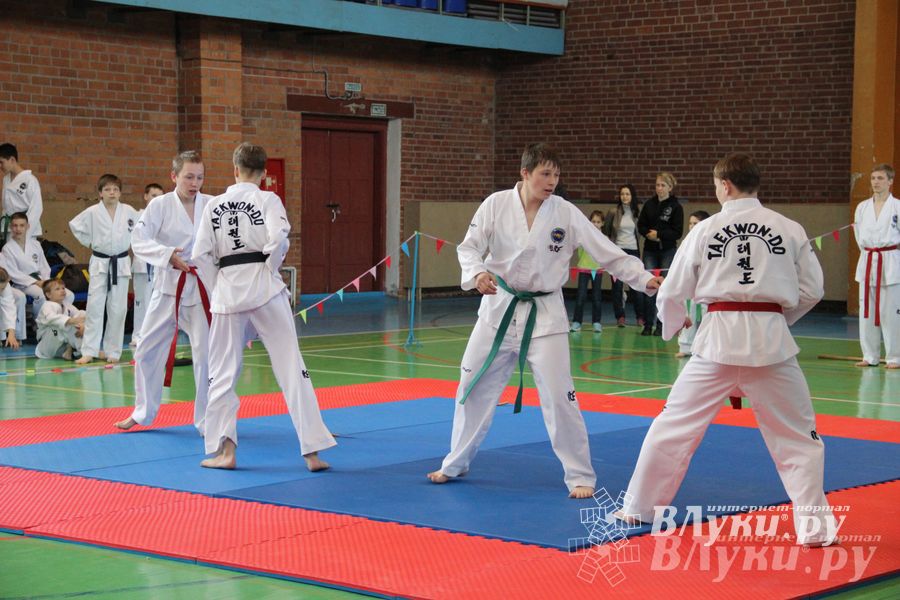 В Великих Луках прошло Первенство по тхэквондо (фото)