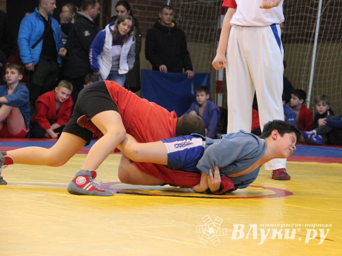 Открытый турнир по самбо «Новогодняя звезда-2019» прошел в Великих Луках (ФОТО)