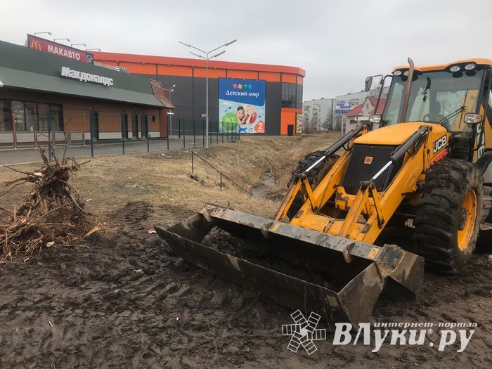 Русло Ситовки очистили от мусора (ФОТО)