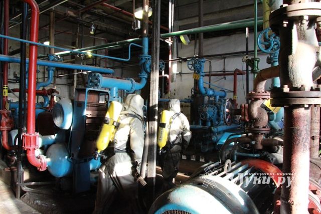 В Псковской области прошли тактико-специальные учения (фото)