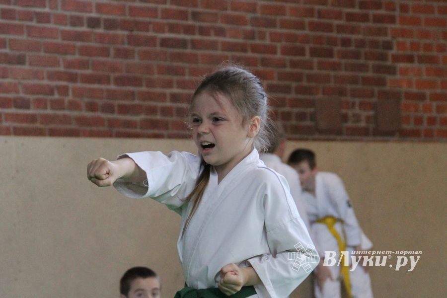 Турнир по каратэ