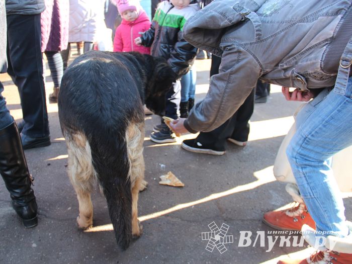 В Великих Луках широко отметили Масленицу (ФОТО)