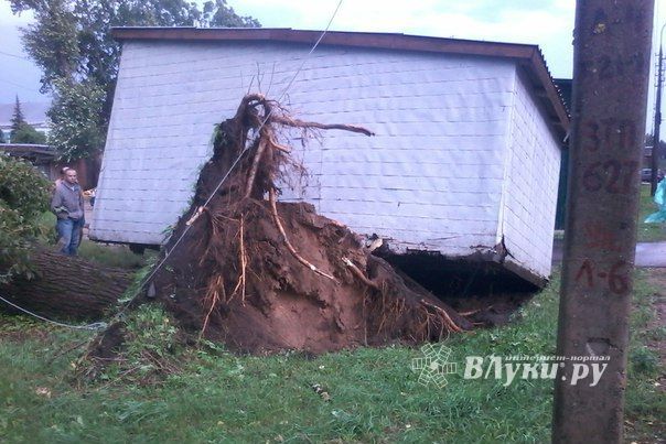 Ураган в Псковской области валил деревья и срывал крыши (ФОТО)