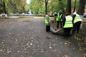 Роща «отряхает» — коммунальщики убирают (ФОТО)