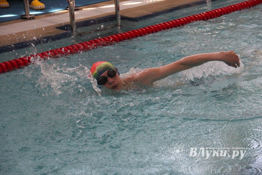 В «Айсберге» прошло Первенство города по плаванию (ФОТО)