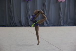 ​В Великих Луках проходит Открытое Первенство по художественной гимнастике (ФОТО) (0+)