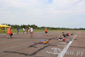 В Великих Луках прошли воздушные бои (фото)