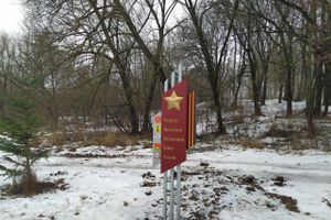 В парке Петровском появились новые объекты (ФОТО)