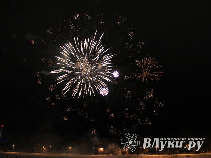 В Великих Луках зажглась новогодная ёлка (ФОТО)