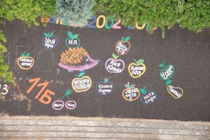 Открытие 18-й Международной встречи воздухоплавателей в Великих Луках