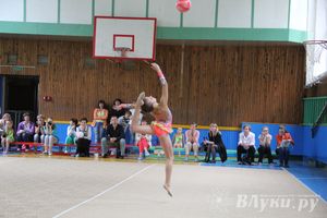 В Великих Луках прошло Первенство по художественной гимнастике (фото)