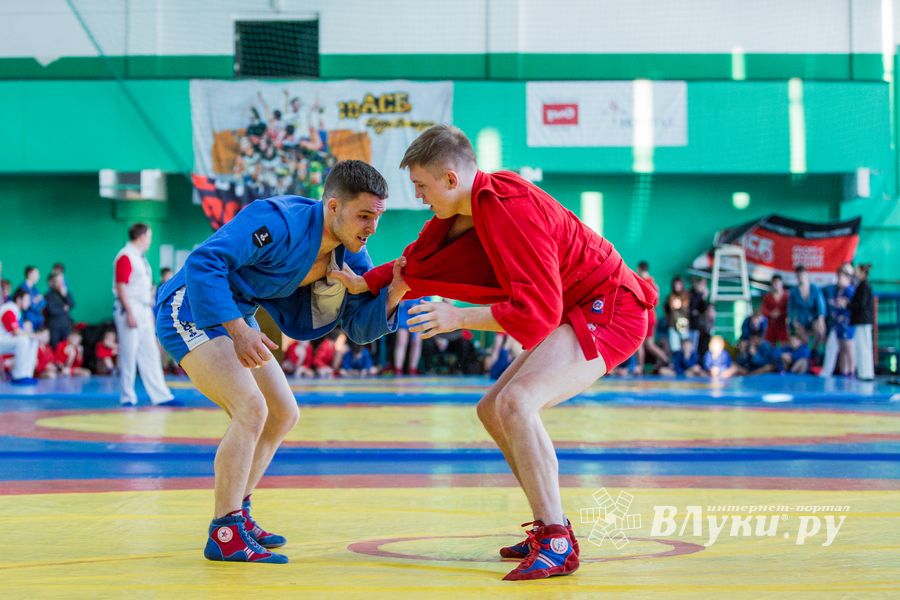 Фото: Александр Воробьев Великолучане завоевали награды Всероссийских соревнований по самбо