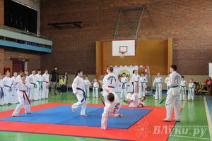 В Великих Луках прошло Первенство по тхэквондо (фото)