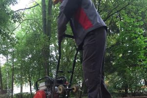 В Великих Луках продолжают благоустраивать городской парк (фоторепортаж)