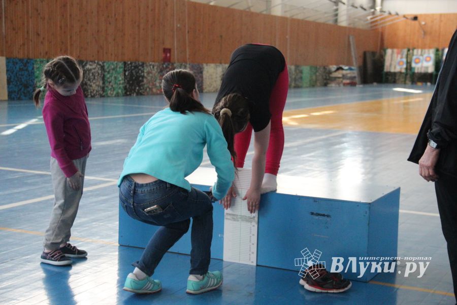 В Великих Луках прошёл фестиваль ГТО (ФОТО)