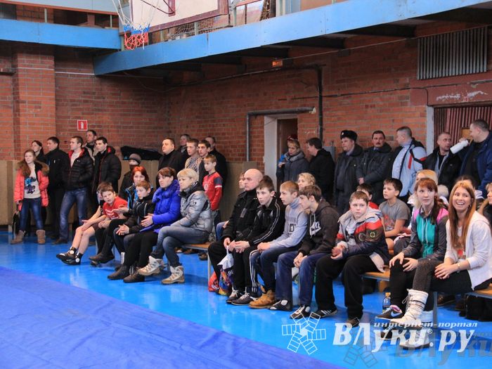 Состоялось Открытое первенство города Великие Луки по борьбе самбо