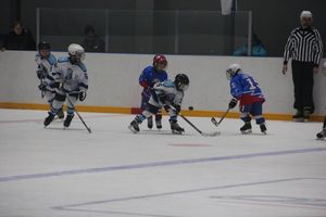 Детский турнир по хоккею прошел в Великих Луках (ФОТО)