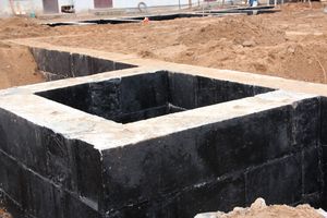 В скором времени нерадивых великолучан станет проще изолировать (ФОТО)