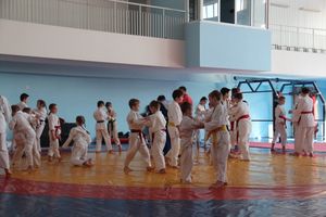 Сергей Фомин провёл мастер-классс для великолукских дзюдоистов (ФОТО)