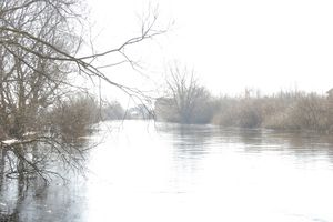 В Великих Луках продолжаются поиски мужчины, пропавшего 9 марта (ФОТО)