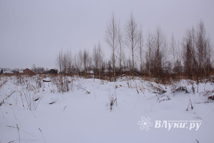 Губернатору не понравилось место для новой школы в Великих Луках (ФОТО)